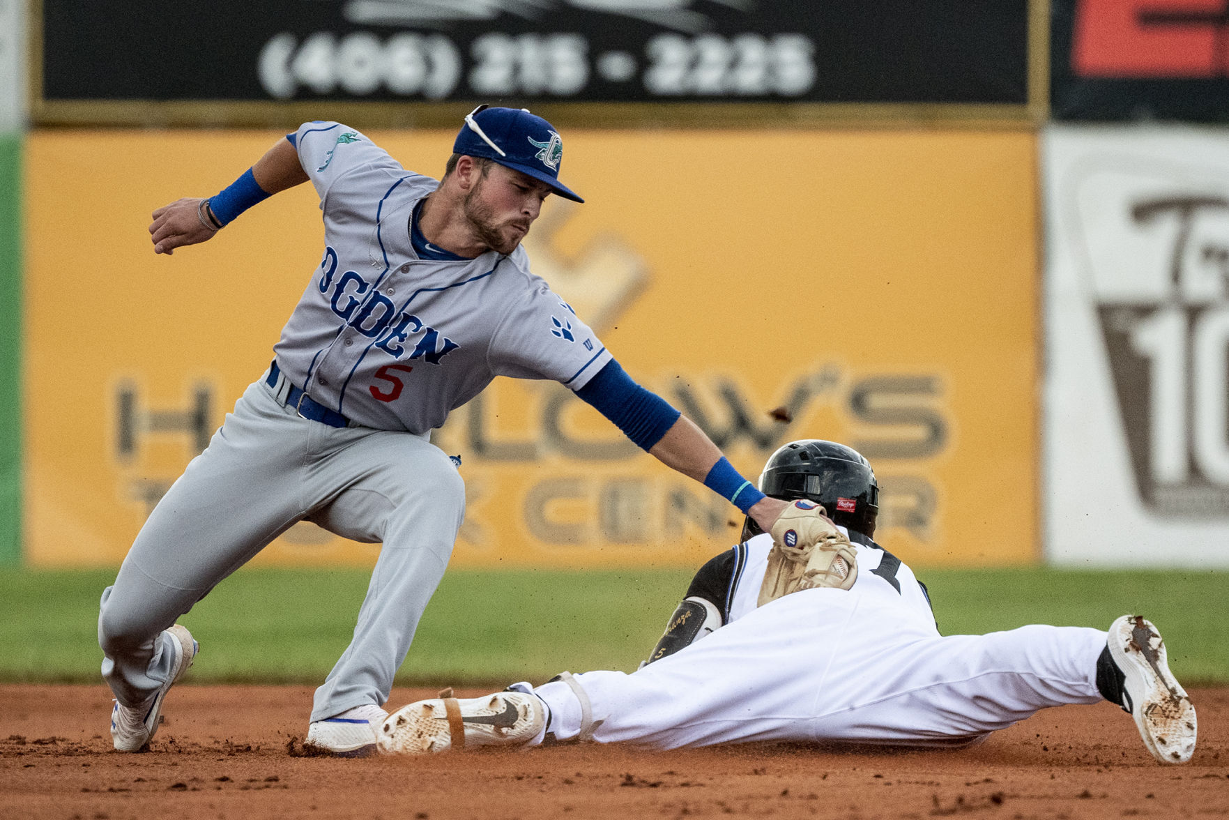 Pioneer League baseball